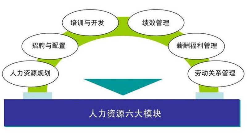 如何评估人力资源公司的服务质量